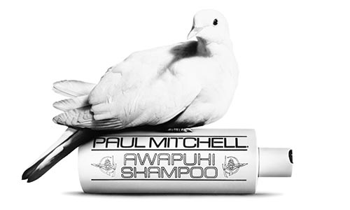 paul mitchell cruelty free products at melanie richards hair salon in peterborough