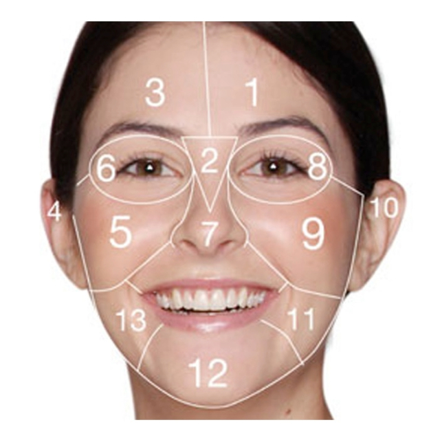 FACE MAPPING