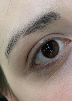 BEST HD BROWS NEAR ME